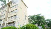 一見､昭和の団地だが…《2戸を1つにした"90㎡の大空間"》に驚愕　まるで注文住宅のような｢ニコイチ｣の"素敵すぎる室内" | ライフ | 東洋経済オンライン
