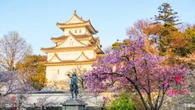 ｢かつて柴田勝家から"柴"の字をもらい羽柴と名乗った｣信長を激怒させた秀吉の職場放棄 背景に《柴田勝家とケンカ》説 | キャリア・教育 | 東洋経済オンライン