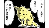 しょぼくれた見た目だが…｢姉が引き取った"ワケあり犬"｣にこうも心惹かれるワケ　漫画『姉の犬から目が離せない』第1話 | ライフ | 東洋経済オンライン