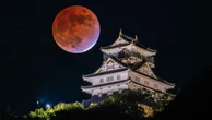 "本能寺の変"直後あんなに近くにいたのに！秀吉でも､柴田勝家でもない《天下に最も近かった男》の正体 | キャリア・教育 | 東洋経済オンライン