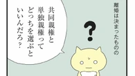 ｢共同親権｣と｢単独親権｣どっちを選ぶ？　DV被害者が離婚調停で"理不尽な合意"に追い込まれる現実　別れても支配が続く例も… | ライフ | 東洋経済オンライン