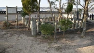 ｢餓死者続出､しまいには人肉を食べ出す兵士も｣三木城を地獄絵図に変えた別所攻めで秀吉があらわにした素顔 | キャリア・教育 | 東洋経済オンライン