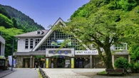 日本一遭難の多い山は標高599mの｢高尾山｣…低山ブームの今こそ知っておきたい､生還者が"命がけで得た教訓" | ライフ | 東洋経済オンライン