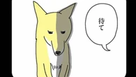 ｢もう2度と野良に戻せない！｣超豪華エサを目にした"元保護犬"の意外すぎる反応…漫画『姉の犬から目が離せない』第3話 | ライフ | 東洋経済オンライン