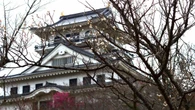 ｢大河ではあんなにお調子者なのに…｣ドラマではまだ描かれていない《豊臣秀吉》の"あまりに残虐すぎる"一面 | キャリア・教育 | 東洋経済オンライン