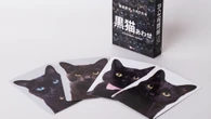 ｢愛があればわかる！｣ポメラニアンや黒猫､生肉､せんべい…"見分けがつかない"神経衰弱系カードゲーム爆売れの訳 | ライフ | 東洋経済オンライン
