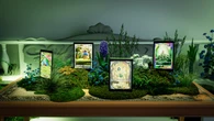 A Roma arriva la Piazza del GCC Pokémon Pocket: mostra e sorprese per i fan