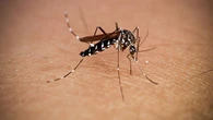 Toda la vida usando antipicaduras para los mosquitos y resulta que sólo necesitaba el móvil y este accesorio