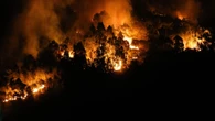 ¿Qué es el turismo de catástrofes? La nueva moda que lleva a visitar pueblos arrasados por el fuego en Zamora y Ourense