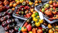 Una chef desvela cómo escoger los mejores tomates para tu despensa: así puedes sacar a relucir su sabor