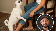 Si tu perro te monta todo el rato, puede que necesite esto en su día a día, según un entrenador canino