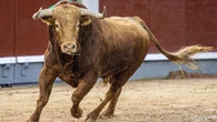 ¿Qué significa sacar un pañuelo azul en una plaza de toros y qué implica?