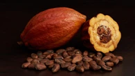 Guinea Ecuatorial, tierra de tubérculos, especias y frutas tropicales