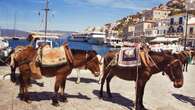 En esta isla europea los coches están prohibidos: sus habitantes se mueven en burro