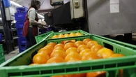 Lanzan un videojuego para combatir la desinformación sobre el zumo de naranja