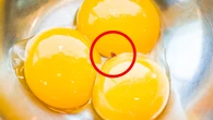 Qué significa una mancha roja en la clara del huevo: descubre qué es y si supone un riesgo para la salud