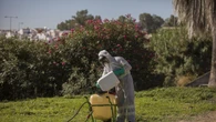 Muere un anciana hospitalizada en Italia tras contraer el virus del Nilo Occidental