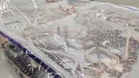 Un viajero chino intenta pasar la aduana con 104 serpientes vivas escondidas en el pantalón