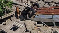 Los perros de rescate, unos «profesionales» muy demandados