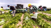 Récord de extranjeros que trabajan en España: más de tres millones, con marroquíes, rumanos y colombianos a la cabeza