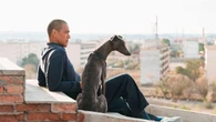 Crítica de "Black Dog": rabioso pero menos ★★★ 1/2
