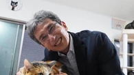 El ADN de tu gato podría tener una “miautación”, según científicos japoneses