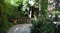 Los 3 árboles frutales que son ideales para jardines pequeños este verano