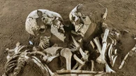 Hallazgo histórico: los "Amantes de Valdaro" y el enigma de cómo acabaron abrazados bajo tierra durante más de 5.000 años