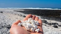 Una turista daña el patrimonio natural de Canarias y la denuncia de una influencer de viajes se viraliza: “No entiendo qué tiene tanta gracia