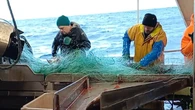 Del mar a la mesa: así es una jornada de pesca de bacalao skrei en el audaz Mar de Noruega