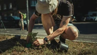 El truco con cartón que elimina las malas hierbas y mejora tu jardín a largo plazo