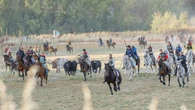 Estas ganaderías no fallan: descubre dónde nacen los toros que hacen historia
