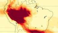 Alarma climática: el Amazonas registra el año con peores incendios forestales en dos décadas