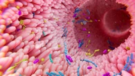 La microbiota intestinal podría ayudar a detectar precozmente el Alzheimer
