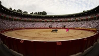Y ahora empieza la verdadera broma macabra, ¿quién torea a "Caminante"? (El toro que la ha liado en el encierro)