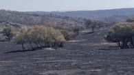 Jandilla calcinada: 80 % de la finca "Los Quintos" arrasada por voraces incendios
