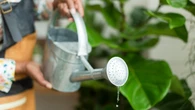 ¿Con qué frecuencia debes regar tu huerto? Las 4 reglas que los jardineros siguen para no equivocarse