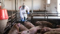 El virus que podría paralizar España: «Si llega, provocaría una catástrofe económica para nosotros»