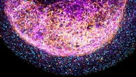 Cerebro: lo que has olvidado, aún influye en tus decisiones