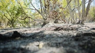 Dos medios aéreos, 4 terrestres y 28 efectivos trabajan en un fuego originado en Calera y Chozas (Toledo)