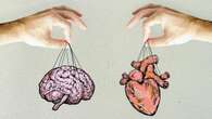 Las 'neuronas del amor' existen: Un estudio revela 'con qué parte del cerebro nos enamoramos'