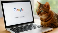 Buscar estas 7 palabras en Google pone en riesgo tus datos personales