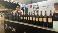 La “Experiencia 25 Aniversario” y las sesiones de DJs, ejes del pasado Festival Vino Somontano