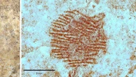 La policía toma las huellas a un supuesto neandertal que vivió hace 43.000 años en Segovia