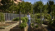 Agricultura, trabajo social y gestión de voluntarios se unen a las tecnológicas como profesiones de futuro