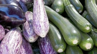 Agricultores españoles se rebelan contra la importación masiva de calabacines marroquíes
