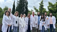 Científicos identifican una nueva diana inmunológica de la leucemia linfática crónica