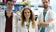 ¿Y si no es el colesterol? La causa de algunos infartos e ictus podría estar en tu intestino