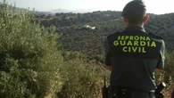La Guardia Civil de Cáceres detiene a un hombre por provocar siete incendios forestales