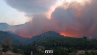 Incendio forestal en Tarragona, en directo: hectáreas quemadas, situación del fuego y última hora